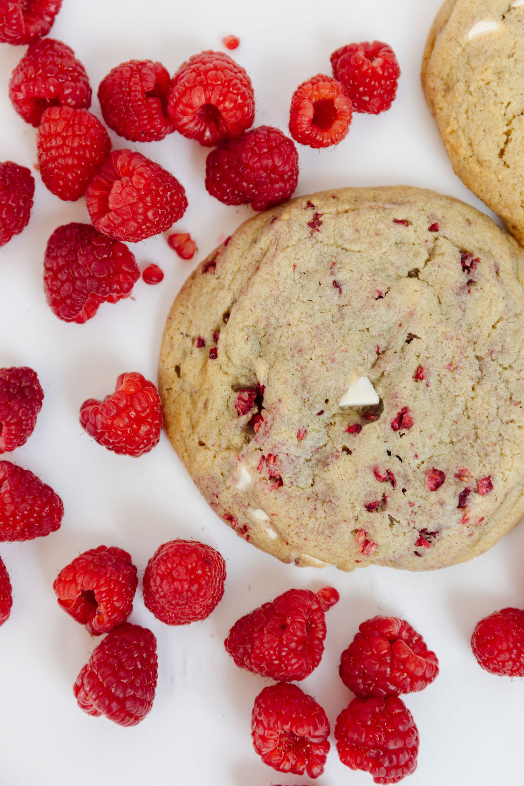 raspberry white chocolate chip