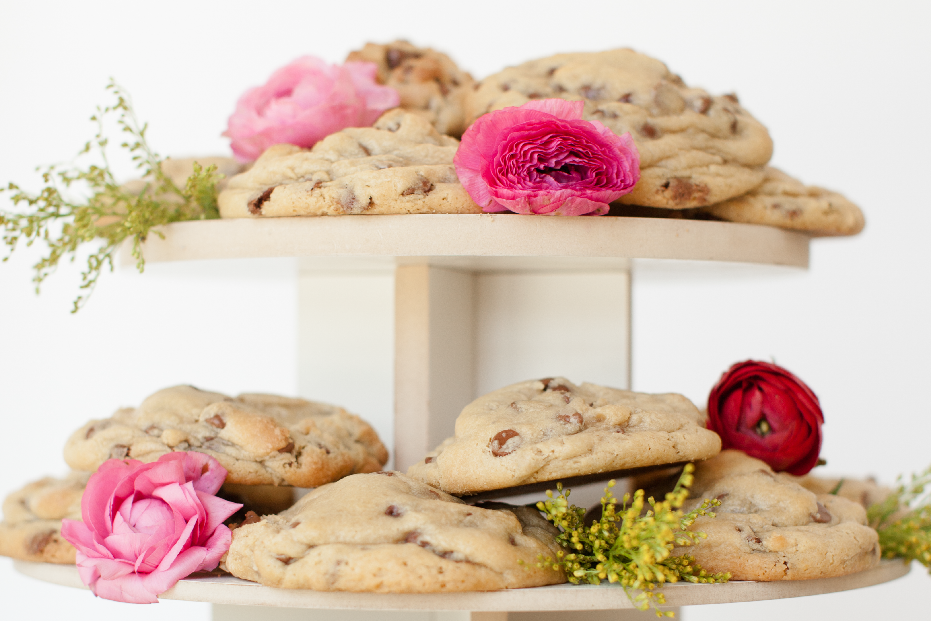 Untitled-4_a54b27f2-d190-4452-8621-46bf046db1b2.png